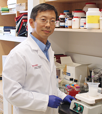 X.F. Steven Zheng, PhD