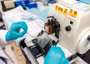 photo of gloved hands working at a lab station