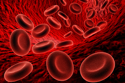 Graphic image of blood cells