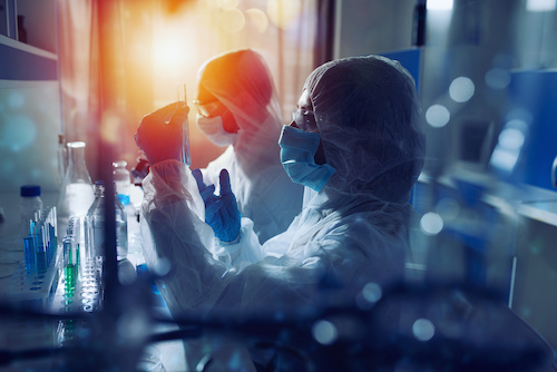 image of researchers working in a lab