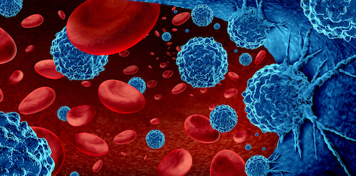 illustration of blood cells and cancer cells