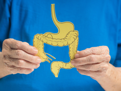 Person in blue t-shirt holding yellow model of colon | Rutgers Cancer Institute of New Jersey