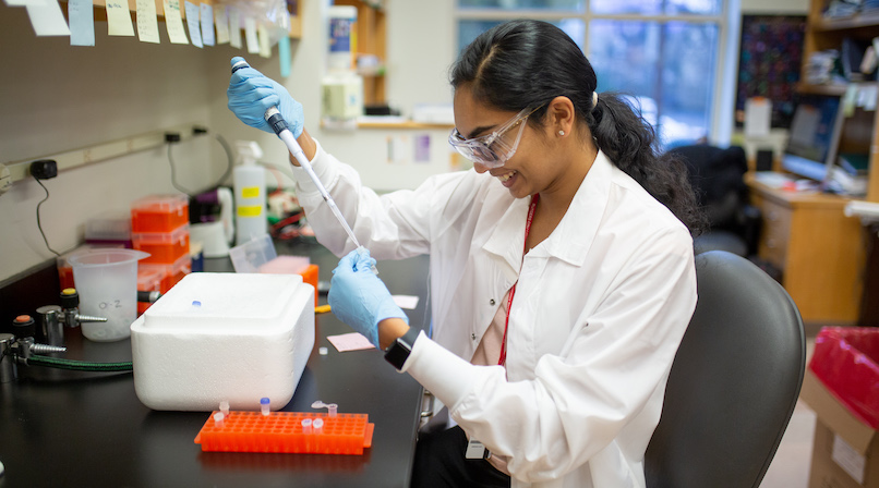 female researcher working in lab