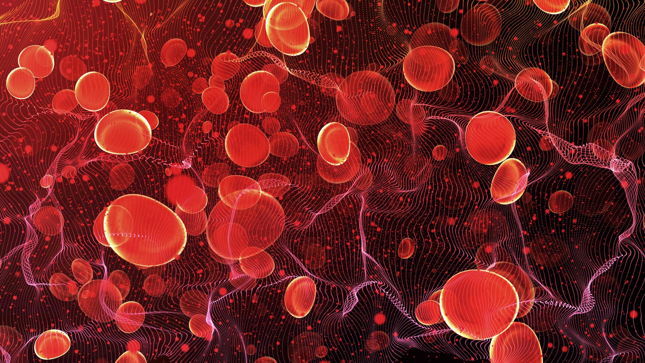 Red blood cells flowing through red background