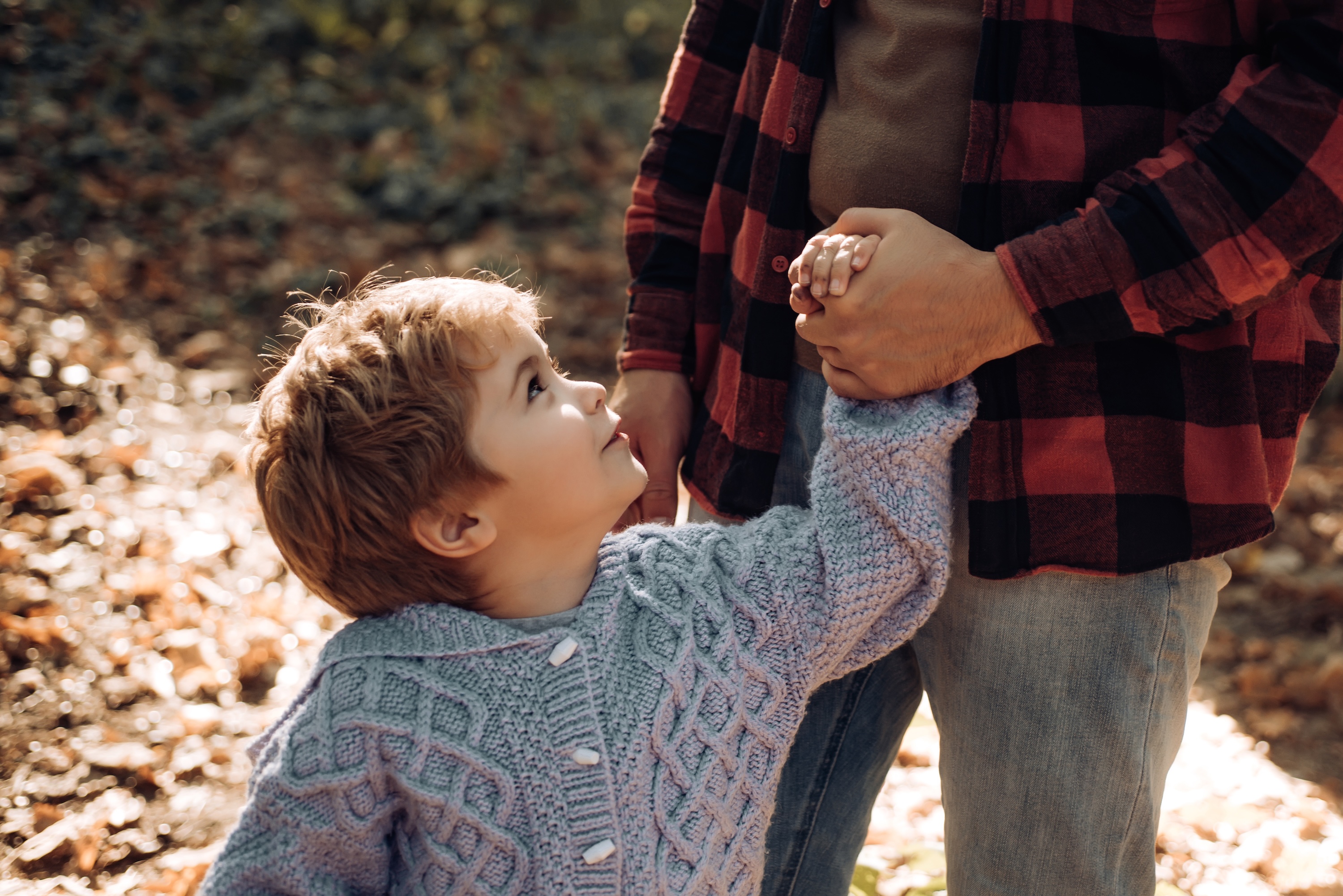 Little boy looking up at father while holding hand