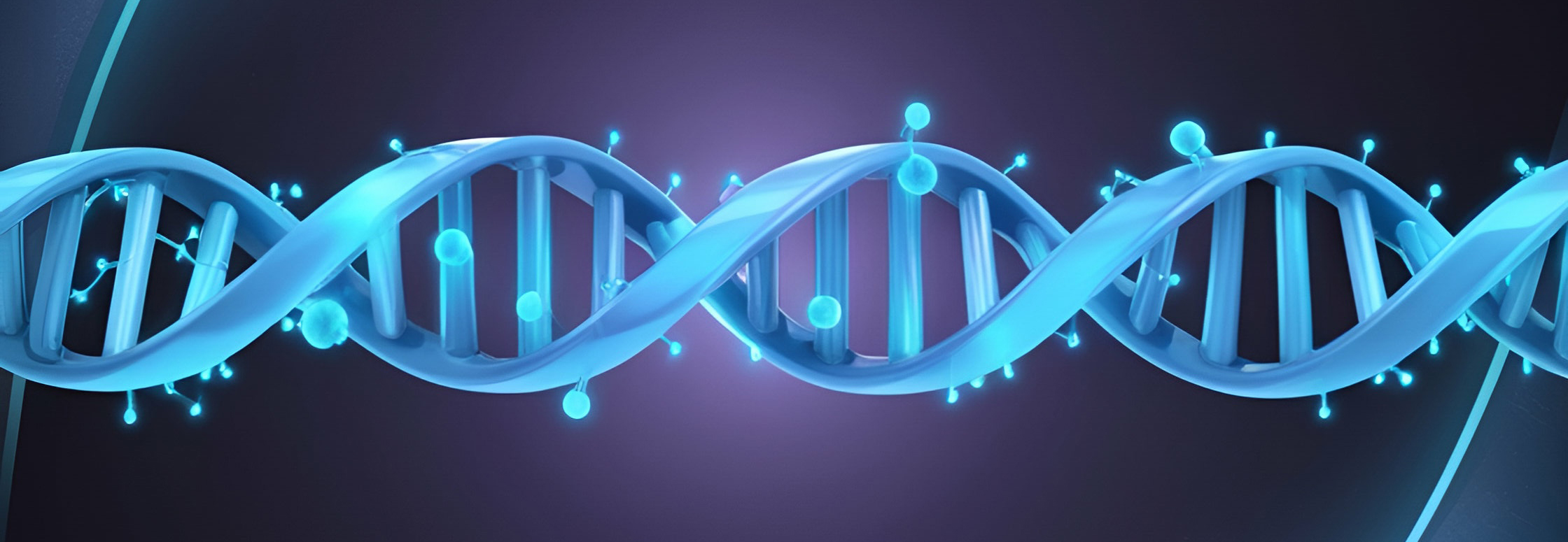 Blue DNA Molecule stretched horizontally across purple background