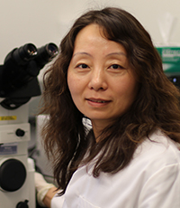 Yanging Huo, PhD