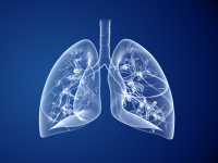 Lung graphic image