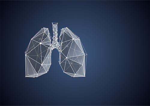 white illustration of human lungs on dark blue background