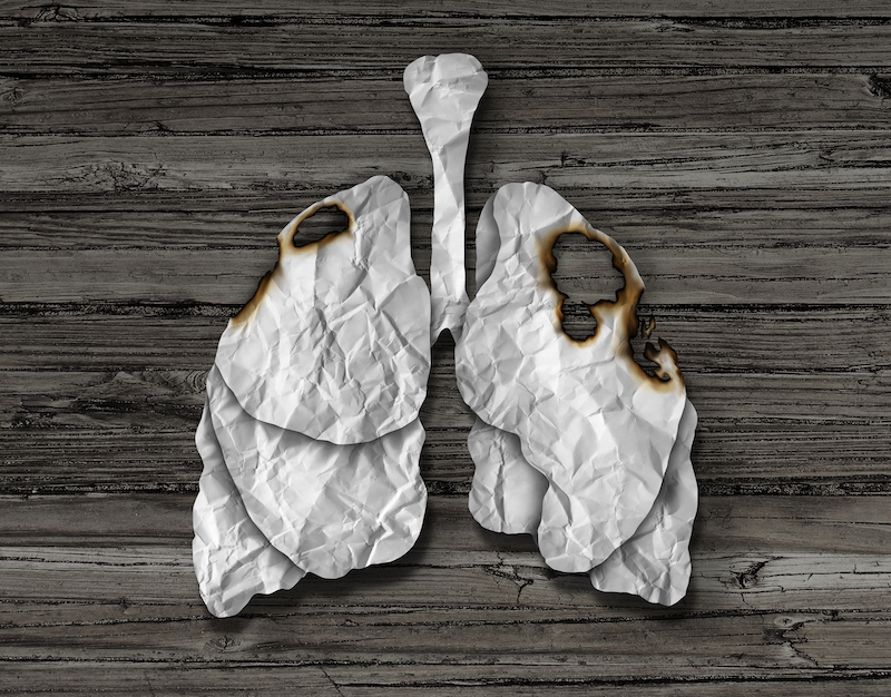 lungs made of paper with burns