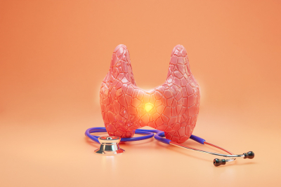 Model thyroid sits on top of stethoscope over orange background | Rutgers Cancer Institute of New Jersey