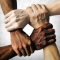 hands with various skin tones locking into a grip of solidarity