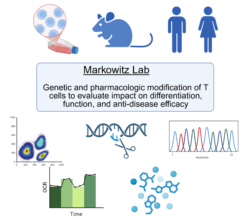 Markowitz Lab
